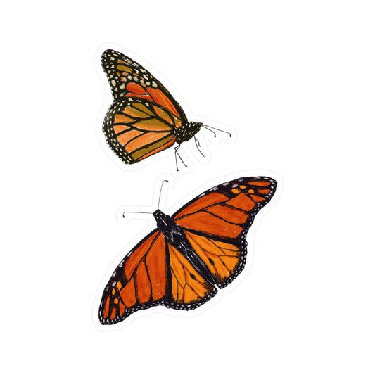 Butterflies | Vinyl Decals