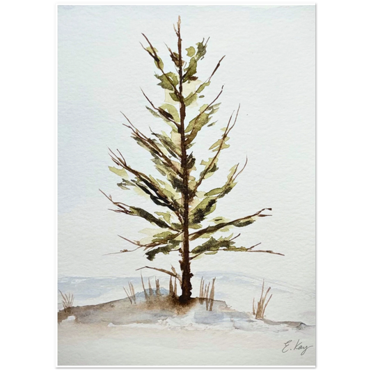 41215678-d486-467f-ad4c-71f3f7244279