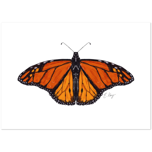 b1d17e54-e3a0-42f6-b167-1117d1b19922